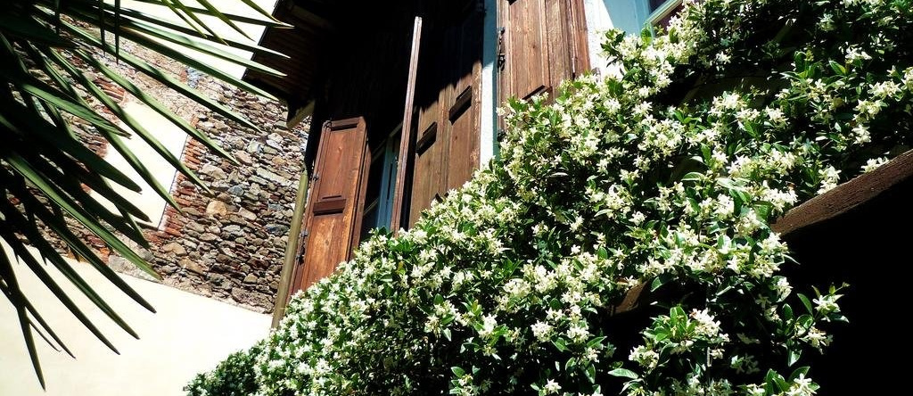 Villanuvola Bed&Breakfast, Мейна — фото 1