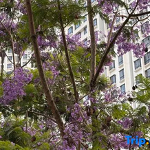 Lincang Heat Limit Limited Edition Hotel, Lincang — photo 3