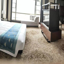 Gesar Hotel VIP Building Shigatse, Shigatse — photo 2