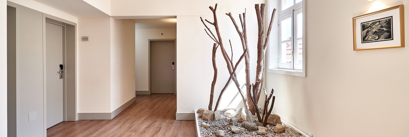 Ribeira Collection Hotel by Piamonte Hotels, 阿尔科斯德巴尔韦尔德斯 — 照片 1