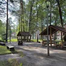 Hotel Kamenny Tsvetok, 特廖赫戈尔内 — 照片 5