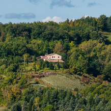 Tenuta Sant'Apollinare, 蒙达伊诺 — 照片 4