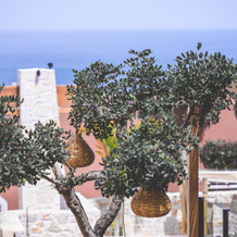 Esperides Resort & Spa, Кутулуфари — фото 5