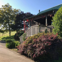 Vineyard Cottages, Glenfield — photo 5