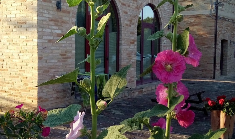 Agriturismo Forestale Luti, Treia — photo 1