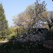 Villa Magnolia, 勒德马克 — 照片 5