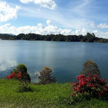 El Trebol, Guatape — photo 4