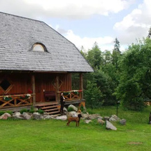 Birdwatch-Lithuania, Шяуляй — фото 2