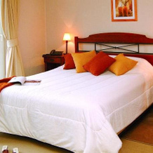 Apart Hotel Carampangue, Вальдивия — фото 5