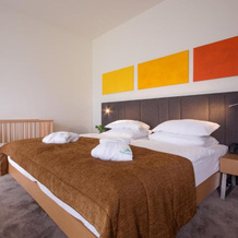 Terme Tuhelj Hotel Well, 图赫尔斯凯托普利采 — 照片 4