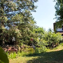 La mare aux canards, Montluel — photo 2
