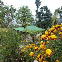 The Barfung Retreat, 纳亚巴扎 — 照片 5