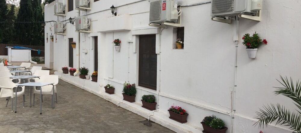 La Palmera Denia, Ondara — photo 1
