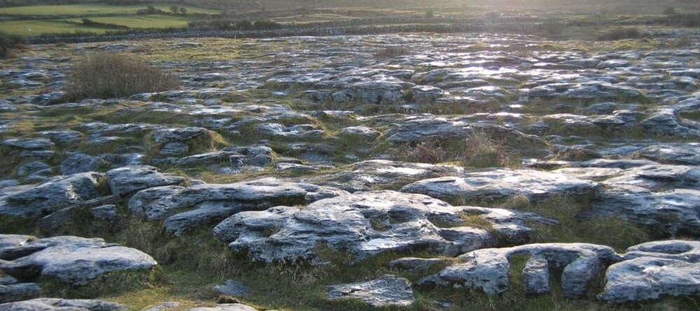 Burren Way 02, Athenry — photo 1