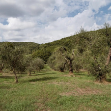 Borgo La Ferriera, Celleno — photo 5