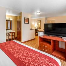 Comfort Inn Mount Shasta Area, Уид — фото 3
