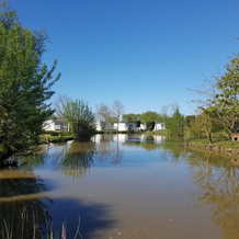 Sycamore Farm Park, Burgh le Marsh — photo 2