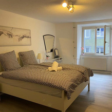 Private Apartment 20 min to Zurich, 布雷姆加滕 — 照片 2