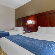 Comfort Suites Gainesville, Гейнсвилл — фото 4