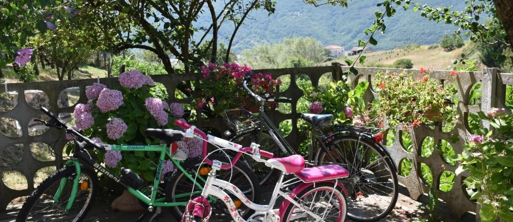 B&B Nel Verde, Montesano sulla Marcellana — photo 1