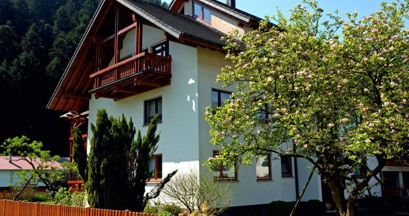 Ferienwohnung Oppenau, 奥珀瑙 — 照片 1