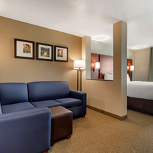 Comfort Inn & Suites Euless Dfw West, Юлисс — фото 3