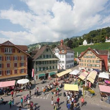 Apartment Suite Chalet Wirz Travel, 萨尔嫩 — 照片 4