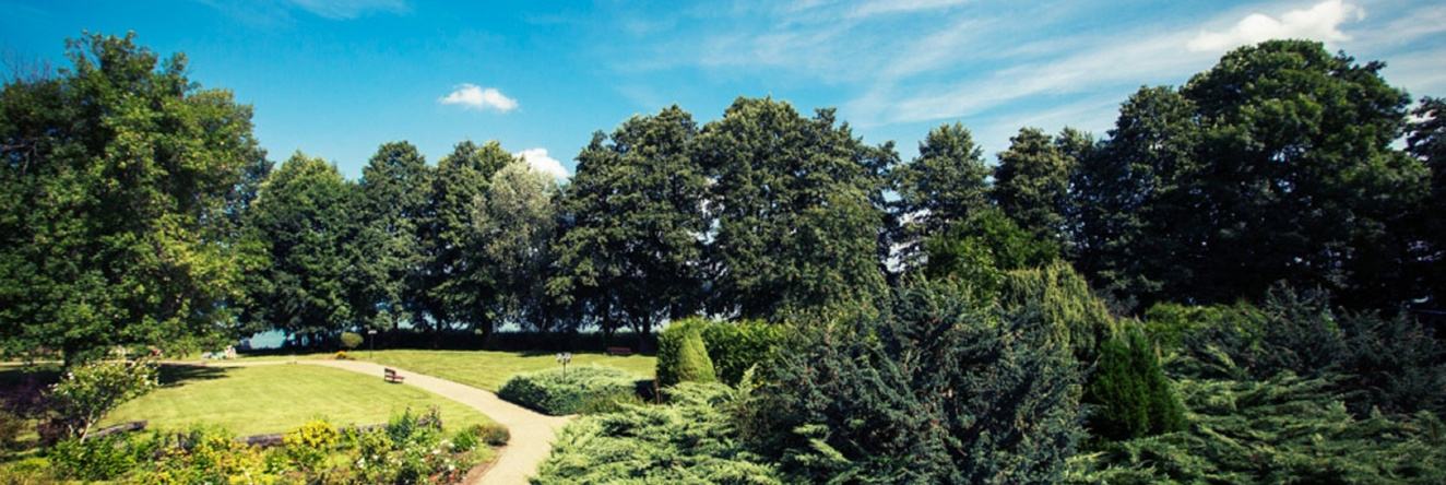 SeePark Kurhotel am Wandlitzsee, 万德利茨 — 照片 1