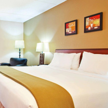 Holiday Inn Rolling Meadows-Schaumburg Area, Роллинг Медоус — фото 4