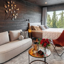 Arctic Panorama Resort & Spa, 罗瓦涅米 — 照片 4