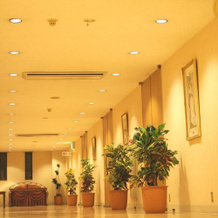 Royal Garden Hotel(Tokushima), 阿南 — 照片 2