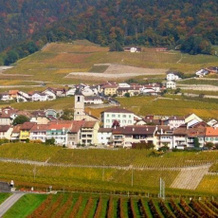 Auberge Communale de la Couronne, 艾弗 — 照片 4
