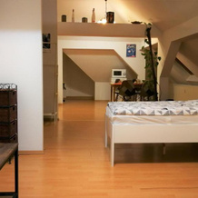 Attic Oelsnitz am Hegebach mit Netflix und Parkplatz Self Check-in, 埃尔施尼茨 — 照片 5