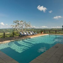 Cedia at Byron Bay Hinterland, Bangalow — photo 3