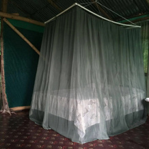 Isla Violin Eco Lodge, Isla Violin — photo 3