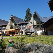 Hotel-Pension Rennsteighütte Frauenwald, 弗劳恩瓦尔德 — 照片 4