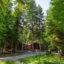 База Отдыха Forest House Resort, Архыз — фото 2