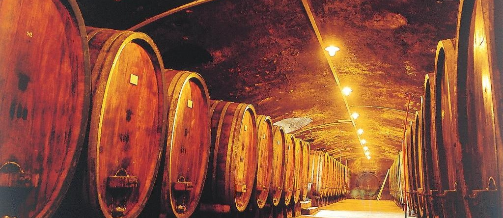 Weinstube Schwarzamsel, Speyer — photo 1