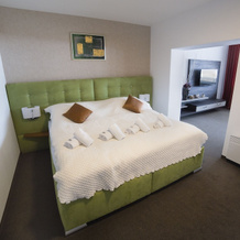 HOTEL Star Lipno, Lipno nad Vltavou — photo 3