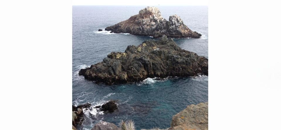 Cabañas Los Molles, Pichidangui — photo 1