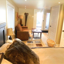 4 B/R Oceanfront Home - Estate Property Hot Tub/ Stairs to Beach, 半月湾 — 照片 2