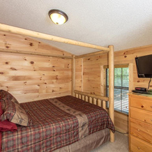 Bearadise Retreat Cabin, 埃利亚伊 — 照片 2