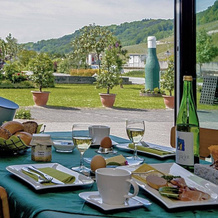 Gästehaus und Weingut Bernd Frieden, 尼特尔 — 照片 4