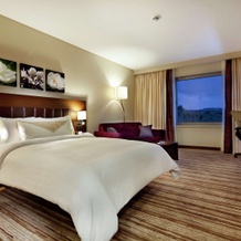 Hilton Garden Inn Mardin, Мардин — фото 5