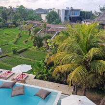 Shore Amora Canggu, Чангу — фото 3