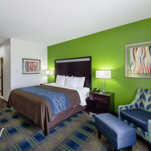 Comfort Inn & Suites Victoria North, 维多利亚 — 照片 3