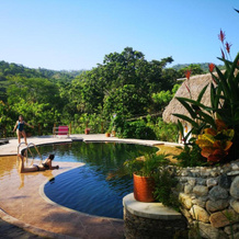 Mama Tayrona Jungle Hostel, 科利纳斯德卡拉巴佐 — 照片 5