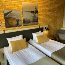 Skyline Airport Hotel, 万塔 — 照片 4