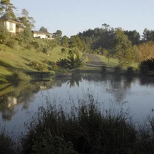 Bed Of Roses, Kerikeri — photo 4
