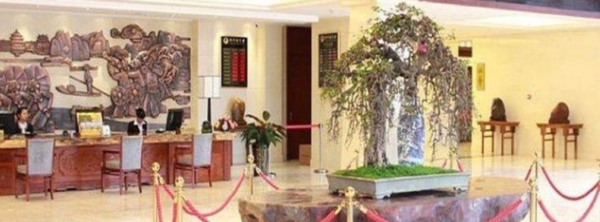 Liuzhou Sanjiangxian Dongxiangguo Hotel, 柳州 — 照片 1